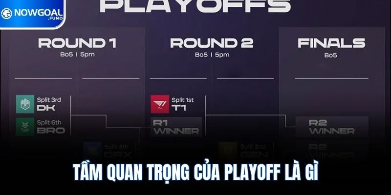 Tầm quan trọng của Playoff là gì